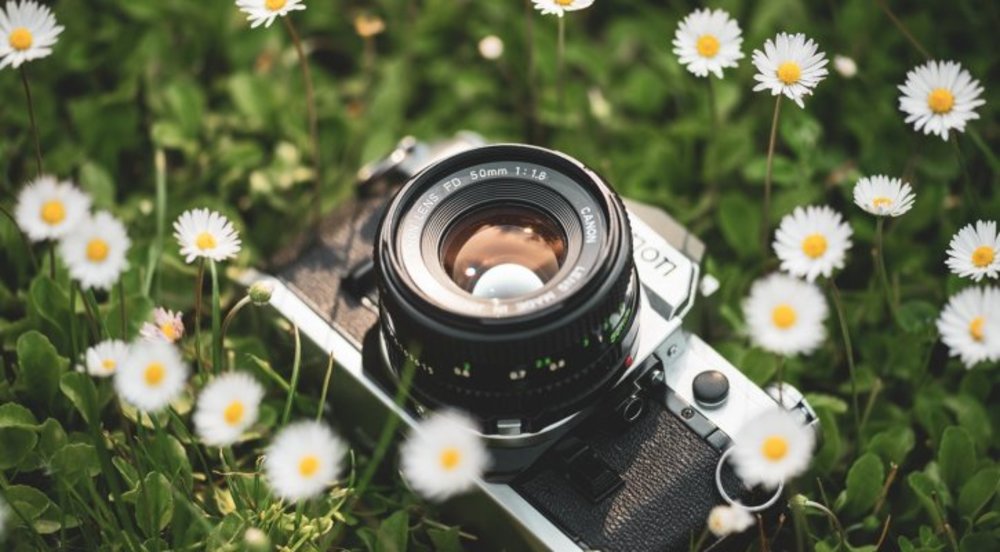 Spring Picture Day