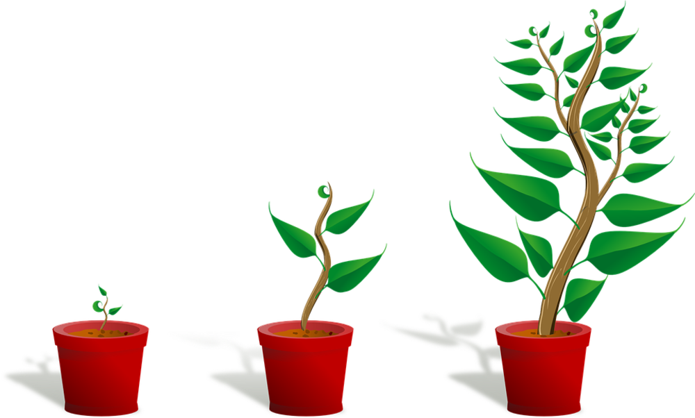 Growth Mindset