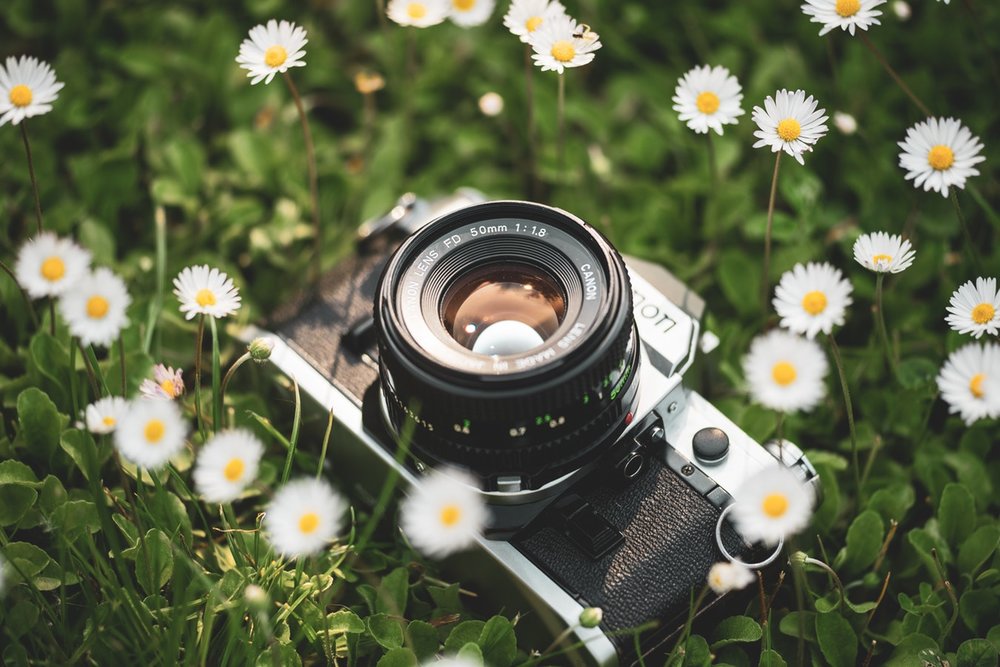 Spring Picture Day 2019