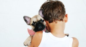 Animal Shelter