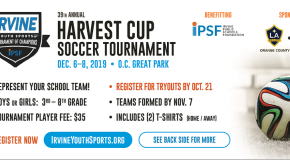 Harvest Cup