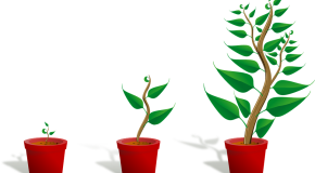 Growth Mindset