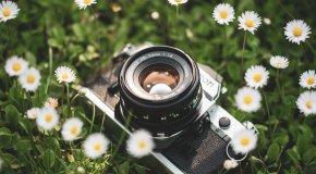 Spring Picture Day 2019