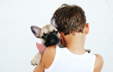 Animal Shelter