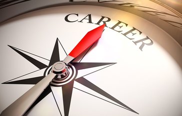 Career