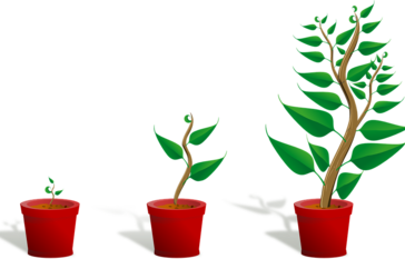 Growth Mindset