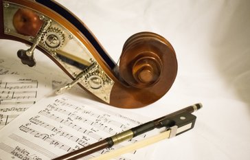 Violin