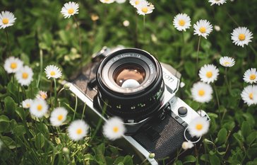 Spring Picture Day